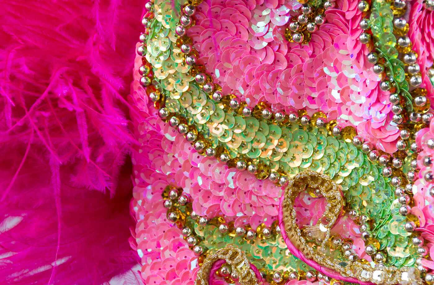 Todo para el Carnaval más especial